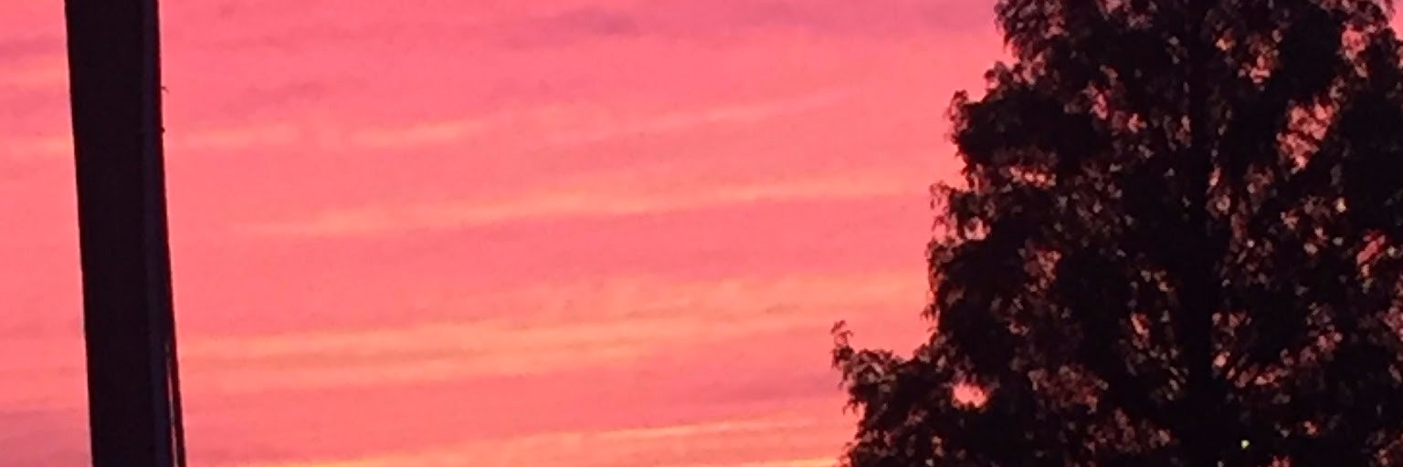Domcc381's profile banner image