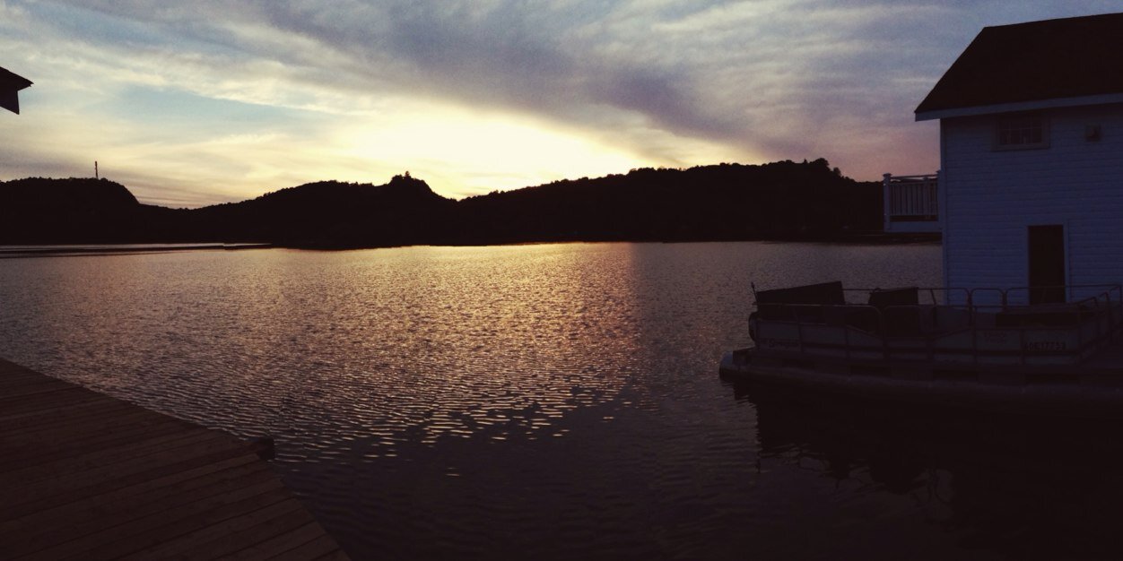 dale. banner