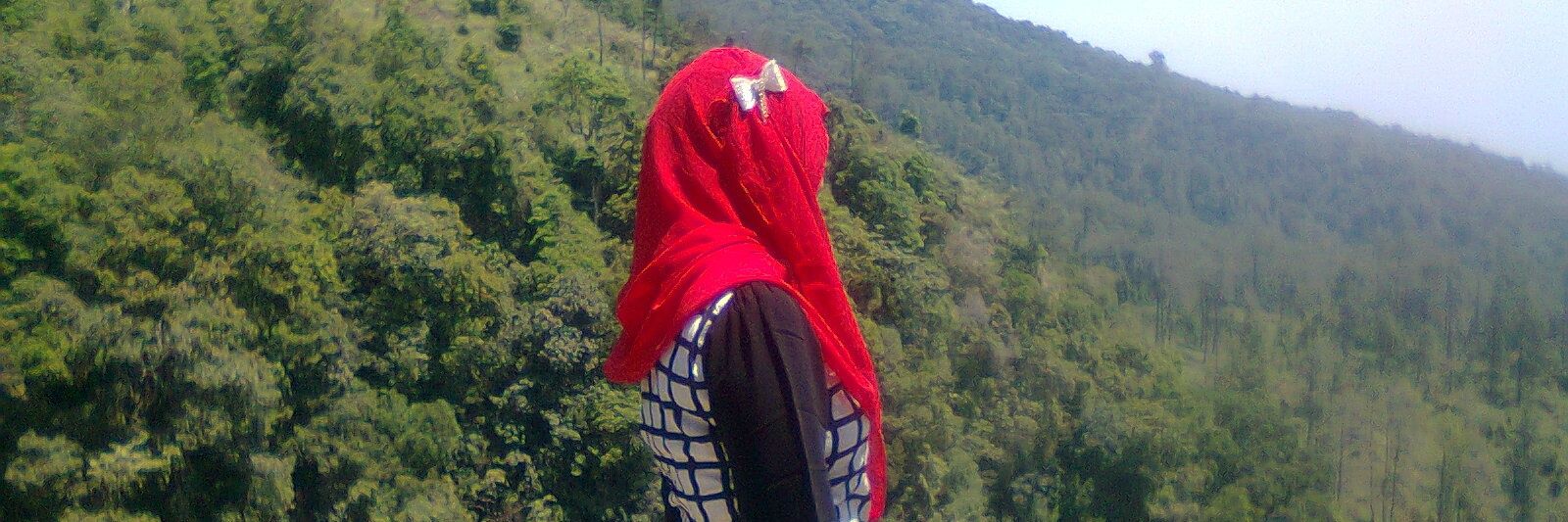 rosa_cantika's profile banner image