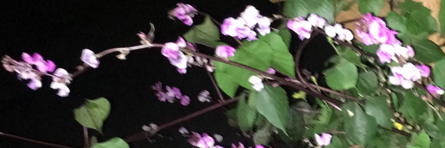 robbiebracken's profile banner image