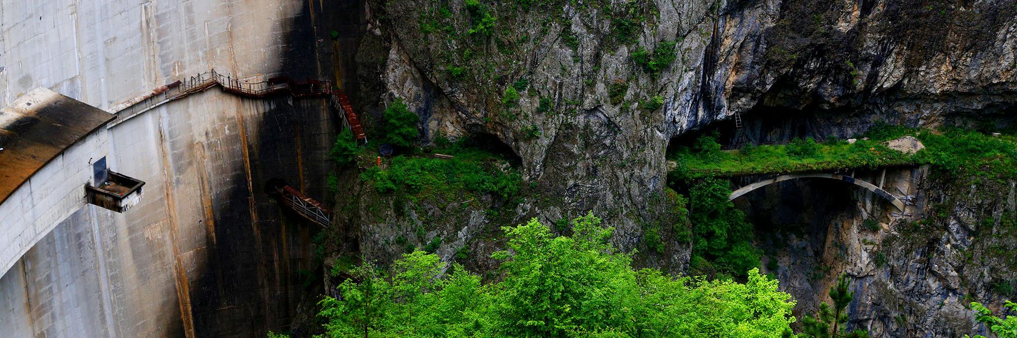 Andrej Petelinšek banner