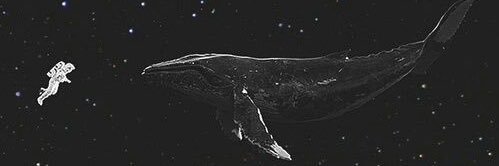 SaraTM85's profile banner image