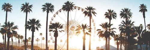 pau🌸 banner