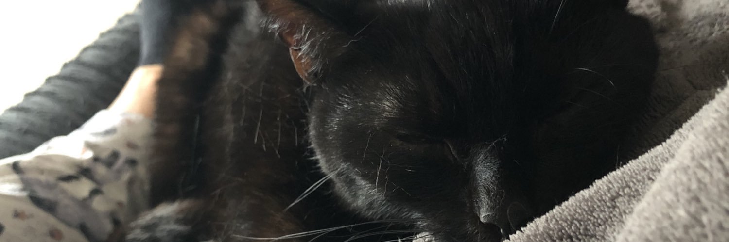 Stace_LT's profile banner image