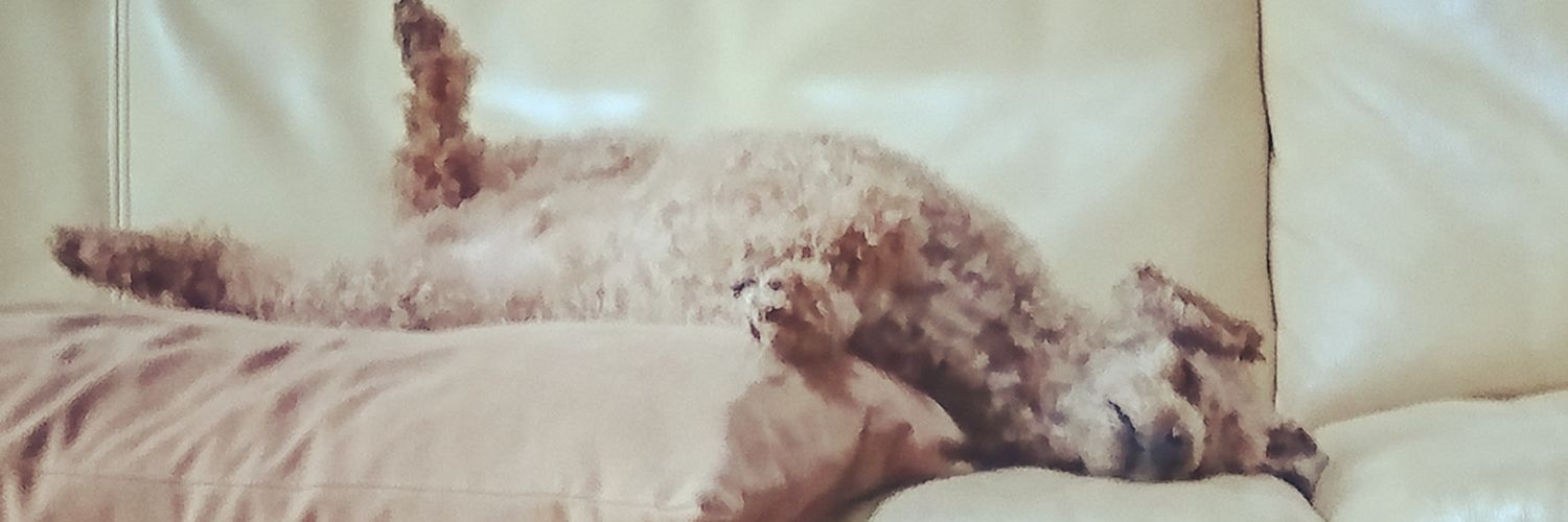 maru_1201's profile banner image
