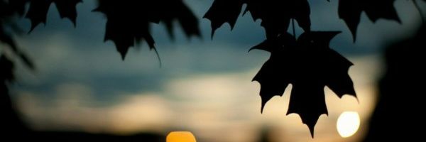 celiaag07's profile banner image