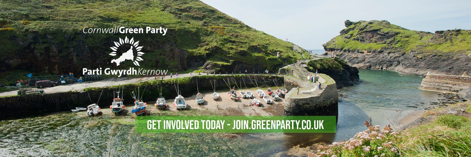 Cornwall Green Party banner