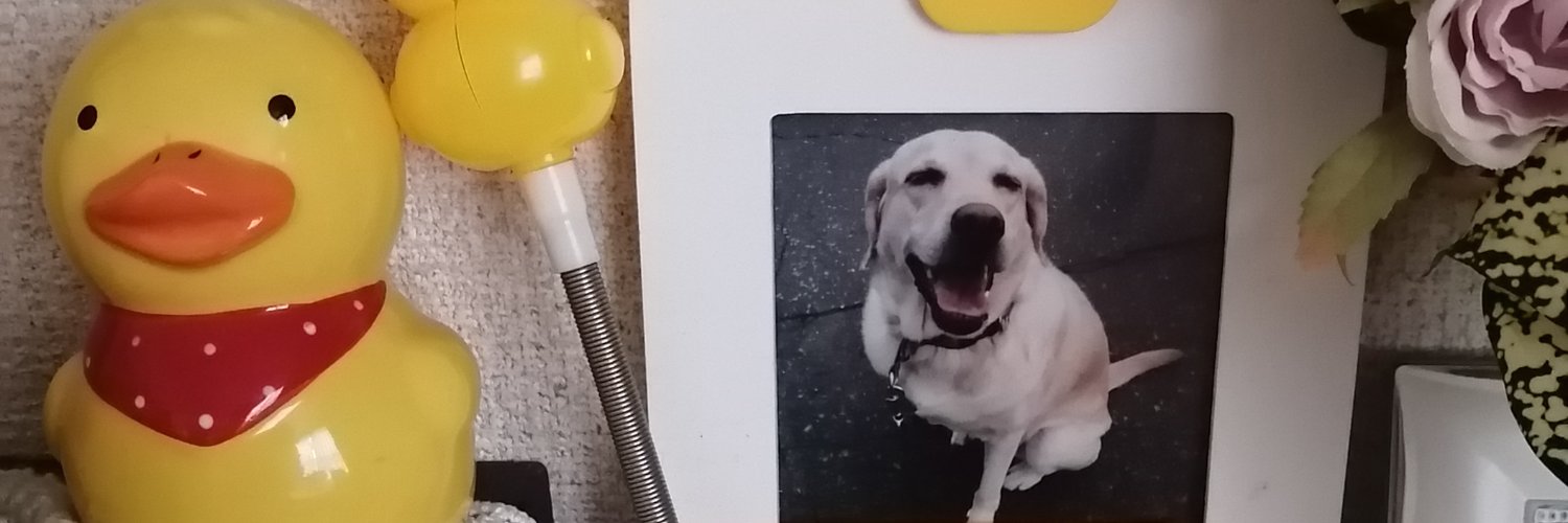 えのちゃん banner