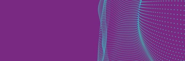 SkyboxSecurity Profile Banner