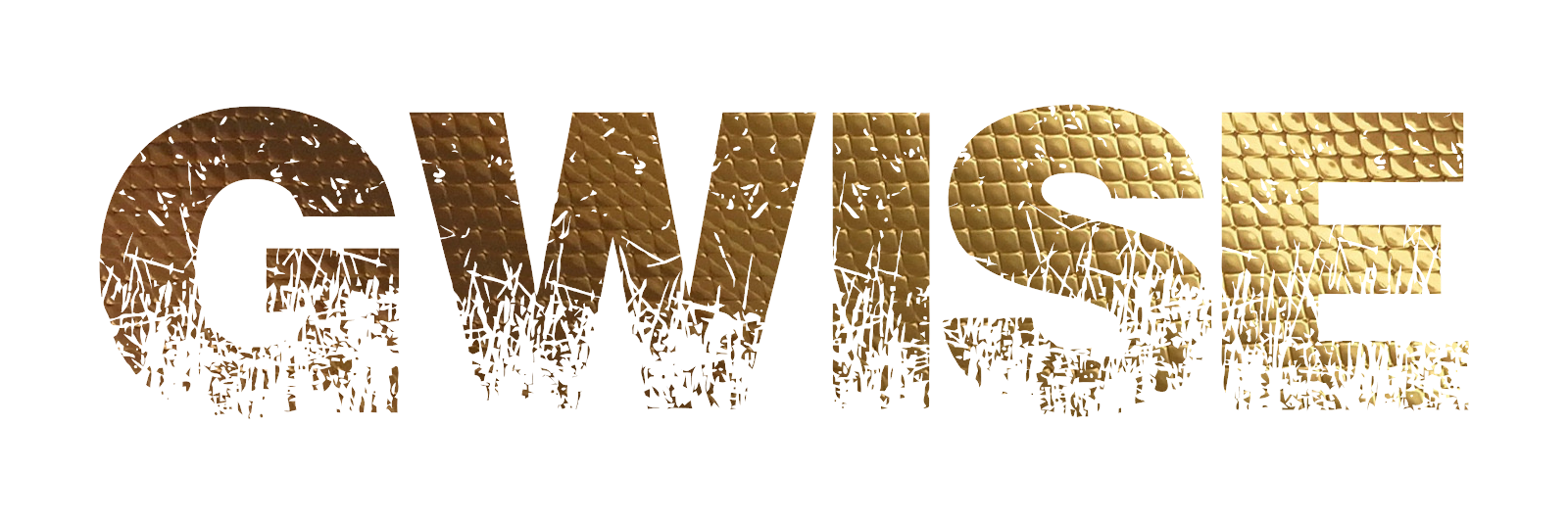 DEEJAYGWISE's profile banner image