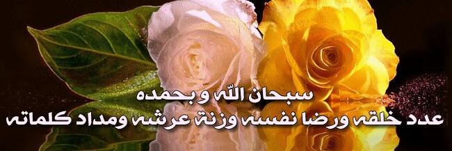 alwasw's profile banner image