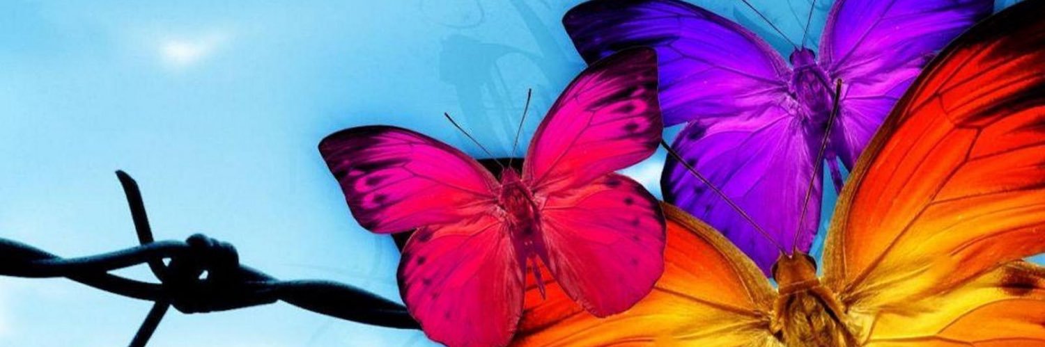 Elainaglam's profile banner image