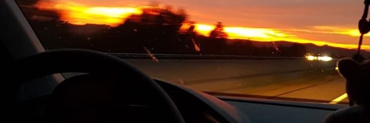 igorrzera's profile banner image