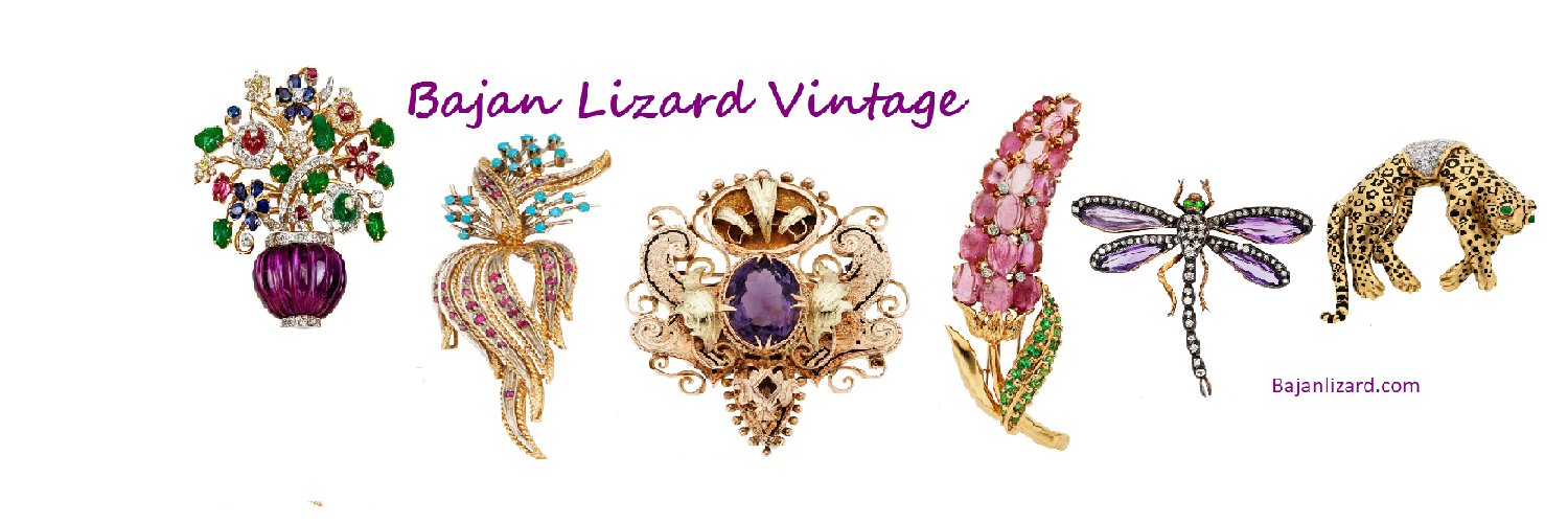 BajanLizard's profile banner image