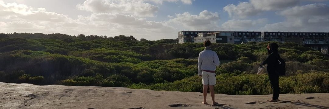 pedrostefoni's profile banner image