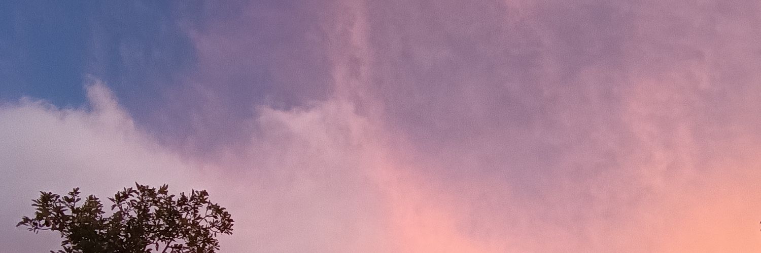 eli_noodles's profile banner image