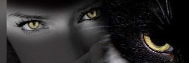 Y_GalinaMax's profile banner image