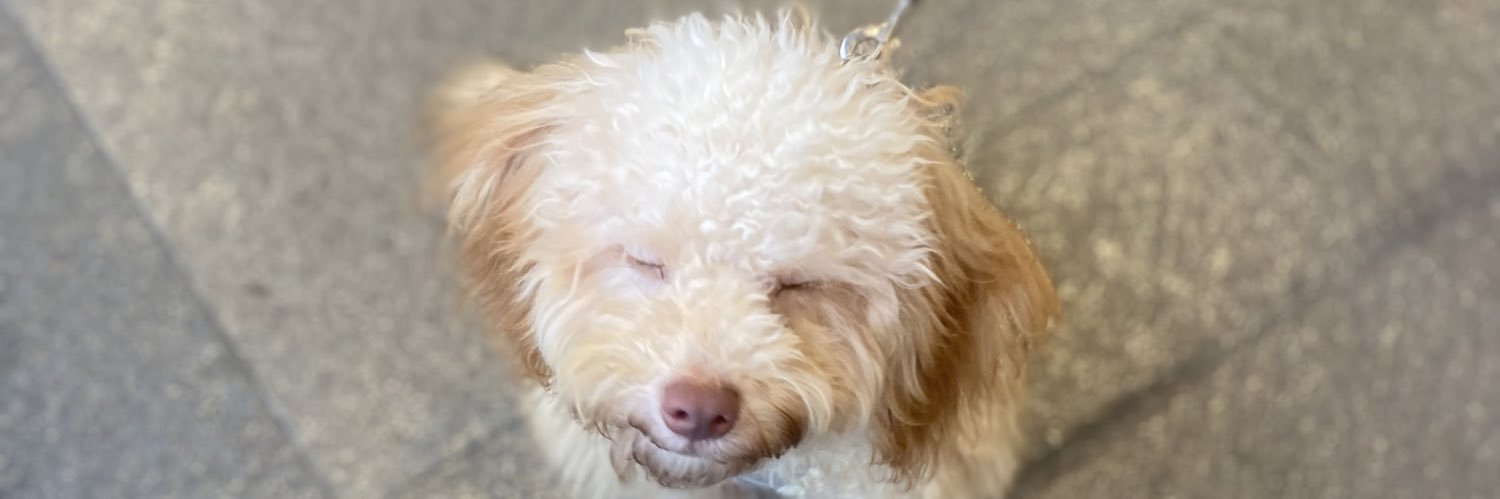 heasthetics's profile banner image