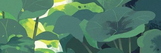 hellokwhite's profile banner image