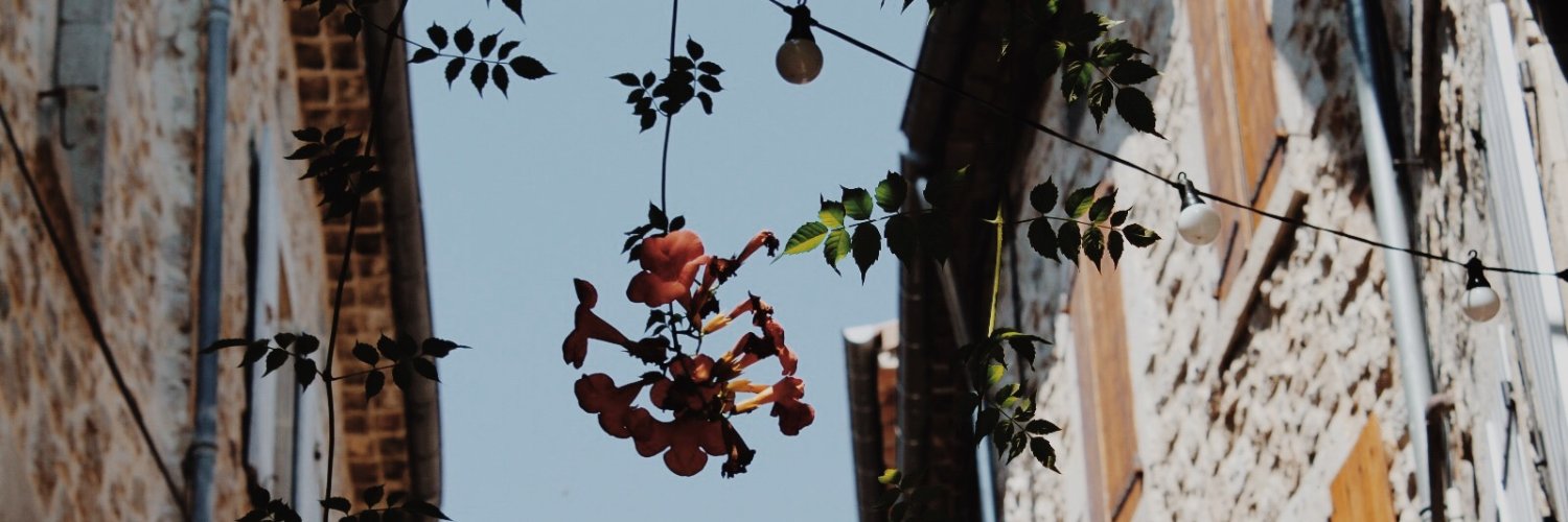 AmberWerkman's profile banner image