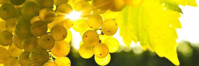 jabbari8191's profile banner image
