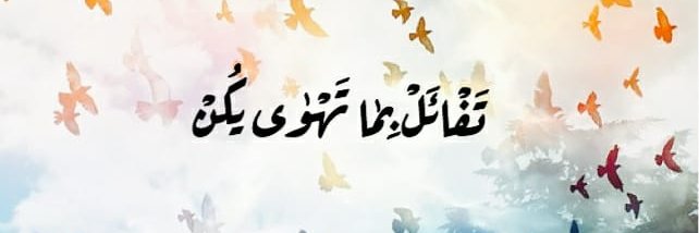 absamiha07's profile banner image
