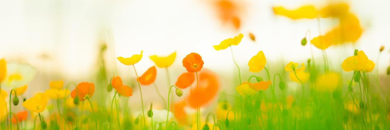 naco_bob's profile banner image
