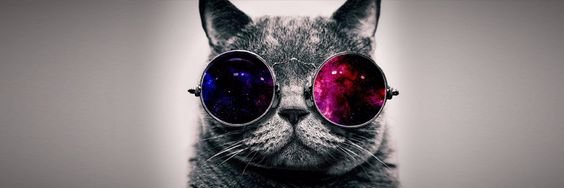 Becky_701's profile banner image