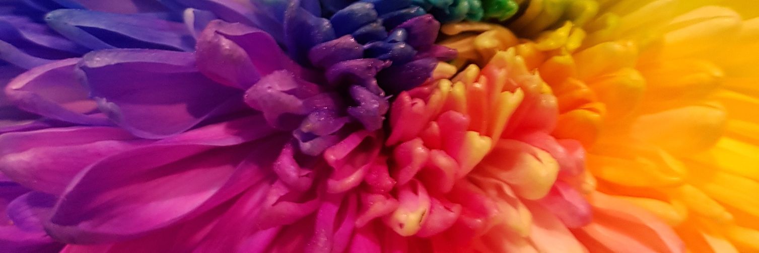 Deaveny's profile banner image