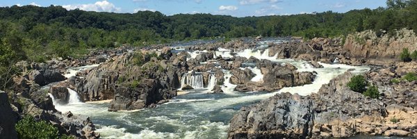 bshute Profile Banner