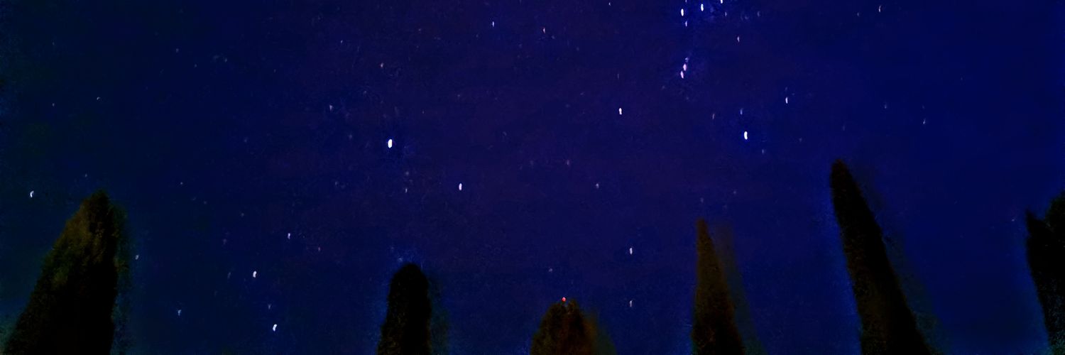 Roberto Brunelli banner