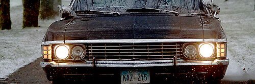 Wayward_reader's profile banner image