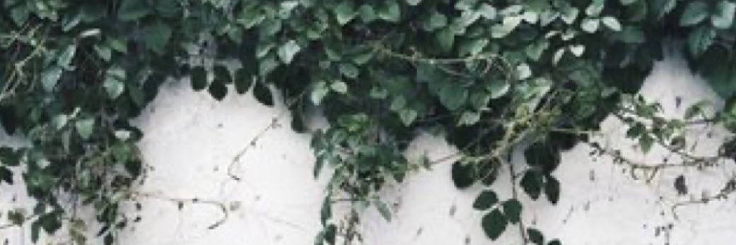 c_lancaster97's profile banner image