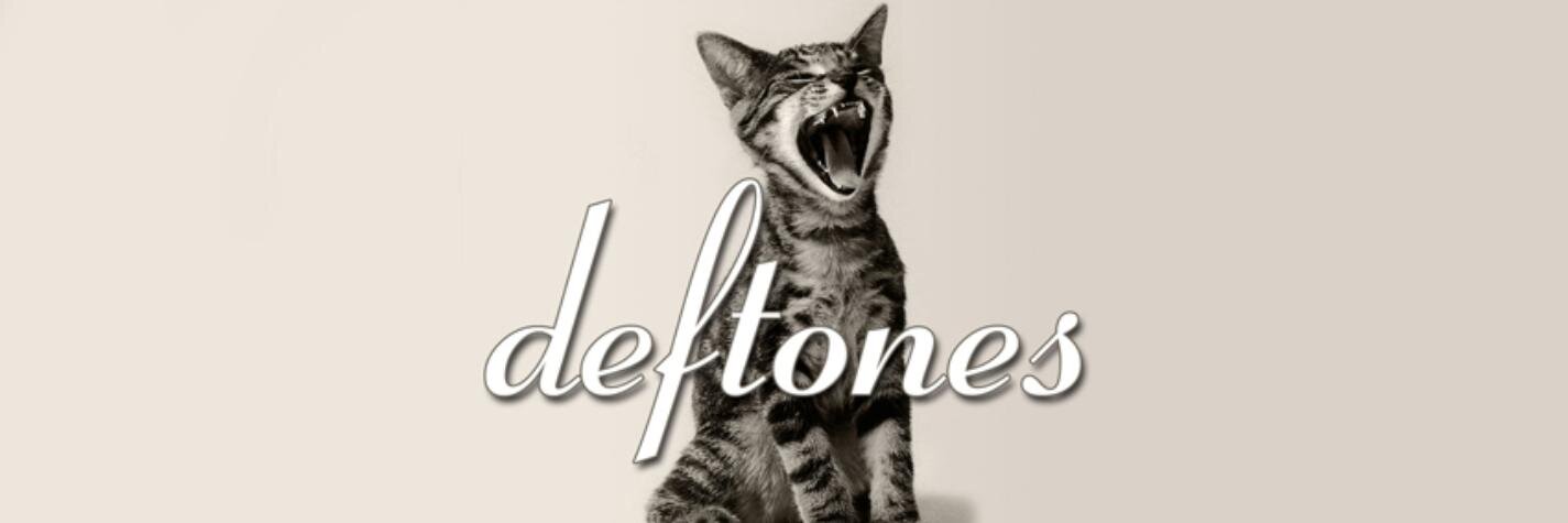 AshleighBeddow's profile banner image