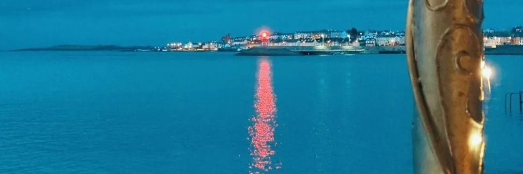 Caroline McCoubrey banner