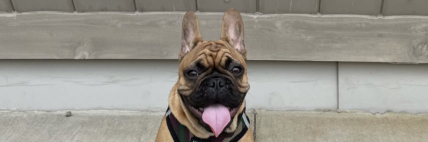 maddiegritsch's profile banner image
