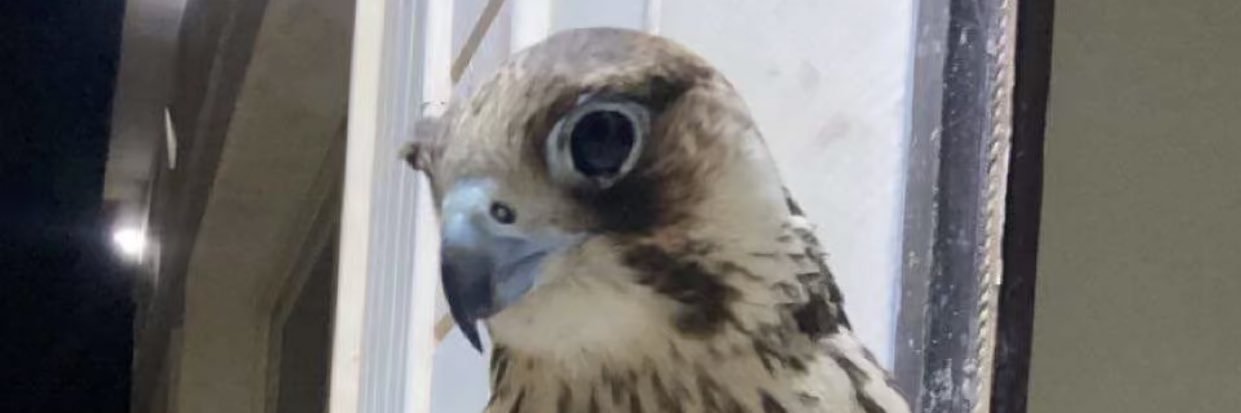 اااالعنزي banner