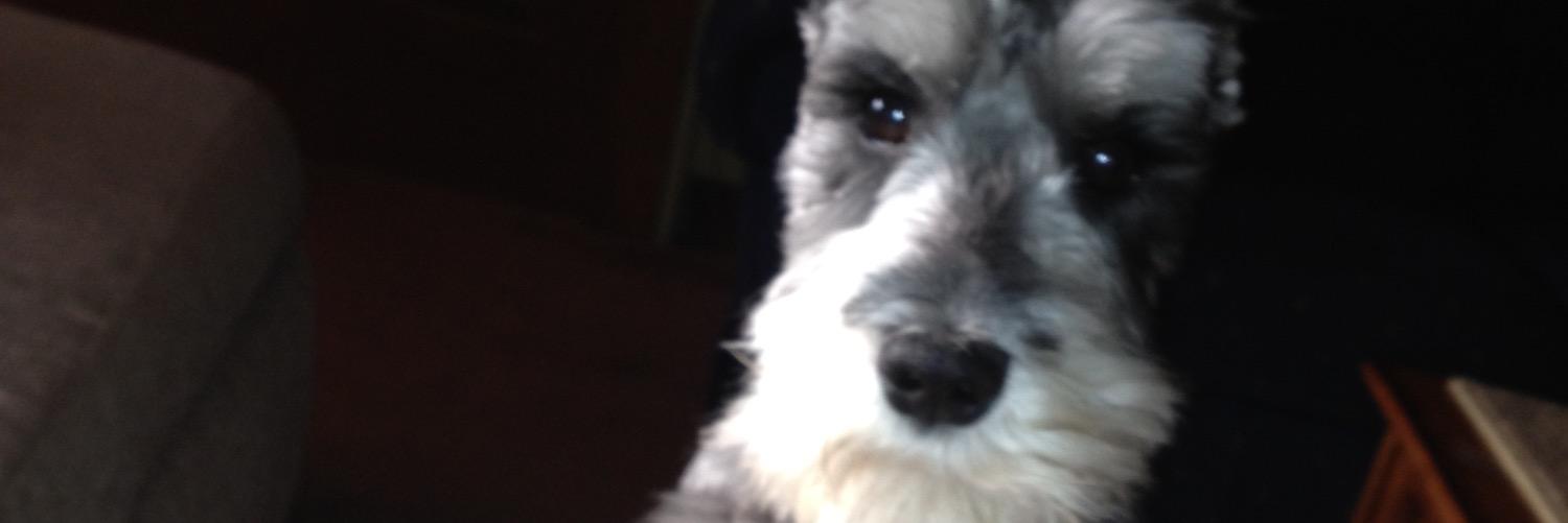 Steve_fromNY's profile banner image