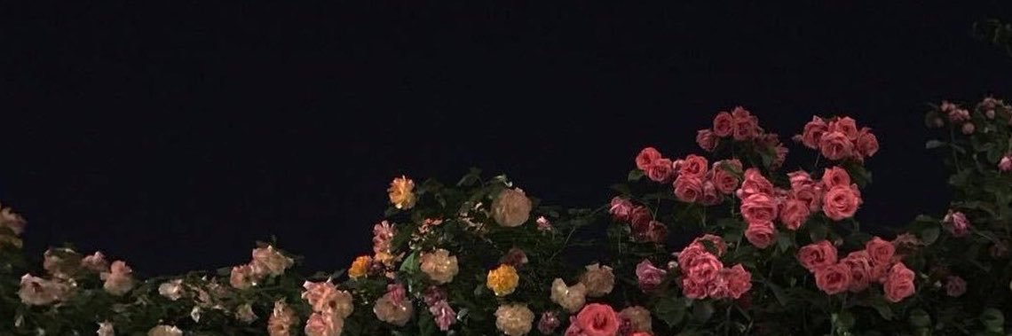 Badria18's profile banner image