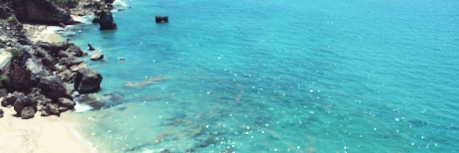 SteffiaWinata's profile banner image