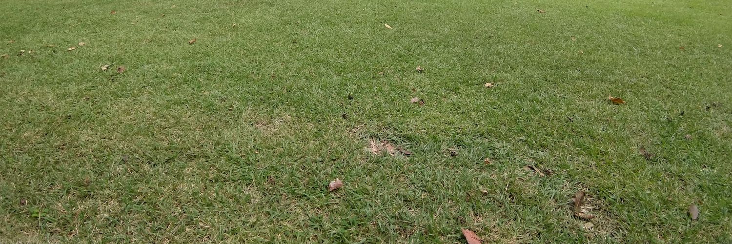 deki_pi's profile banner image