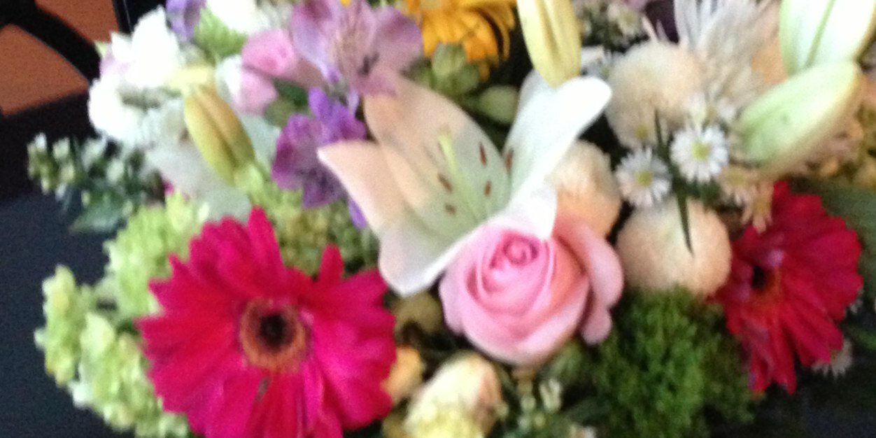 Nancy Medeiros banner