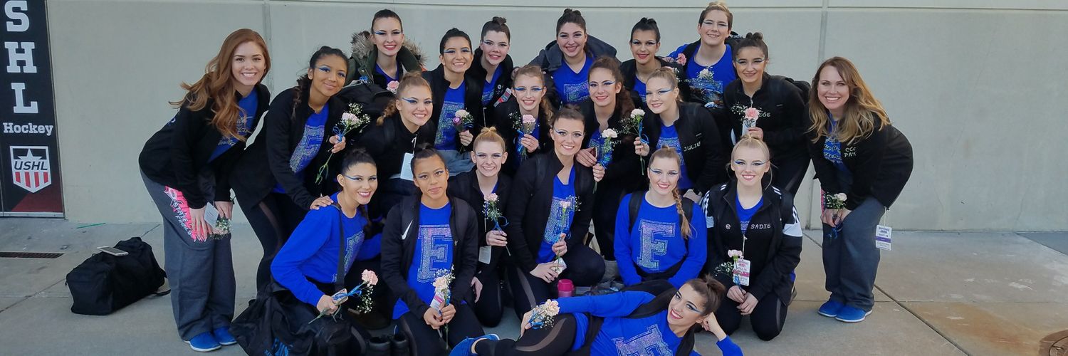 Fenton Dance Force banner