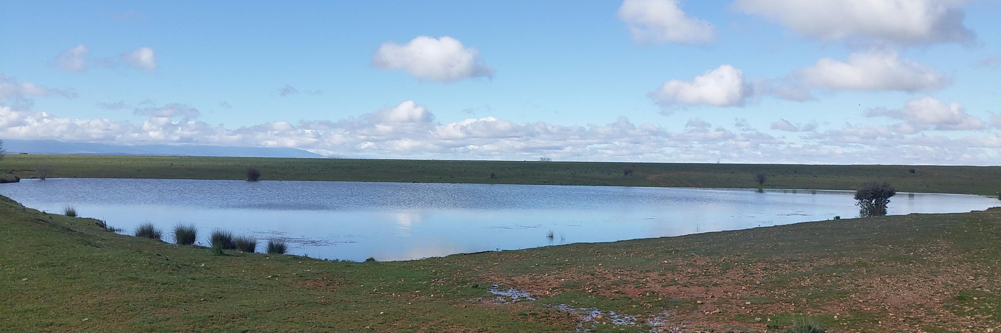 Fernando Nuño banner