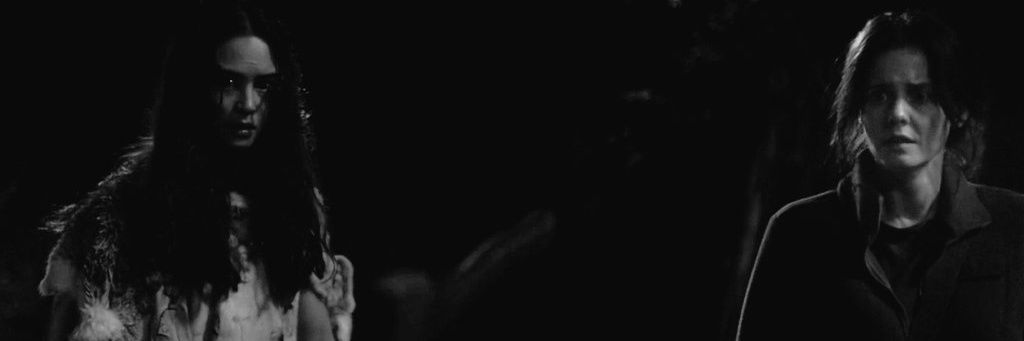 mireiaa211's profile banner image