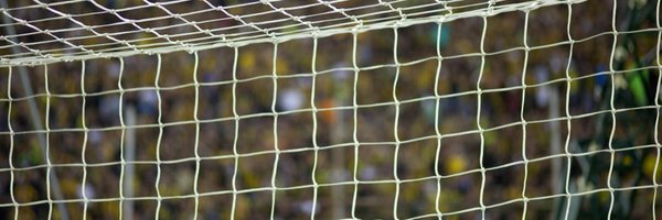 marcotamarit Profile Banner