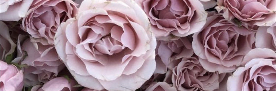 sianaa23's profile banner image