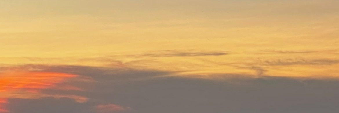 littlesunshine. banner