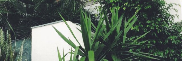 kanesabby's profile banner image