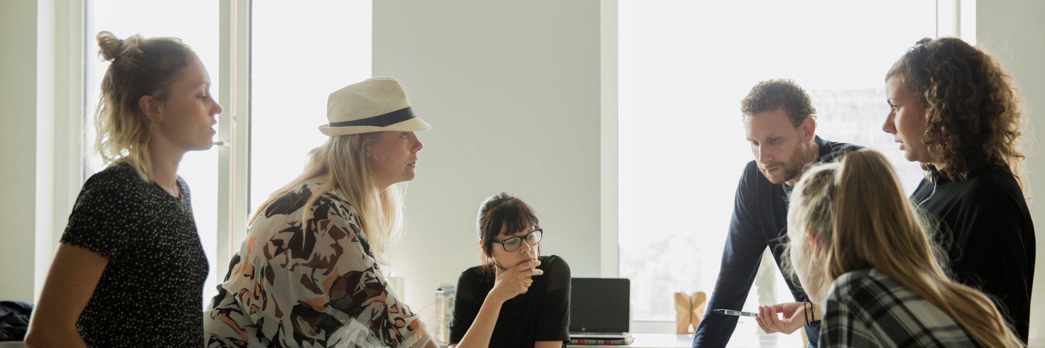 Professionshøjskolen banner
